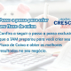 Passo a passo para criar seu fluxo de caixa